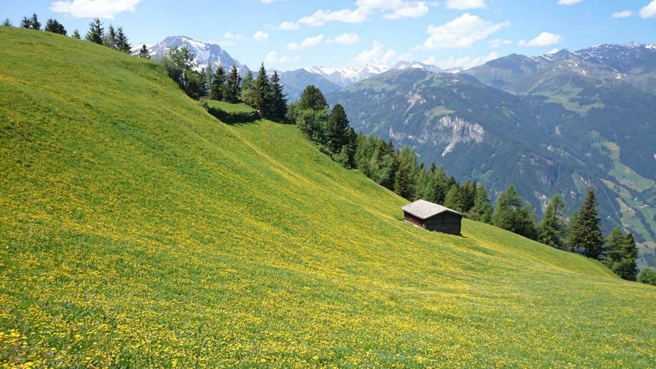 Hotel Eckartauerhof Mayrhofen Exterior photo